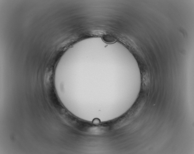 X0000113880364200910221401