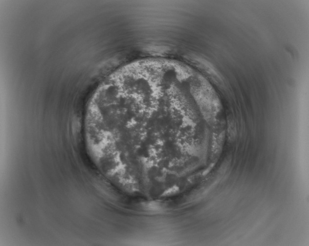 X0000113880365200910221401