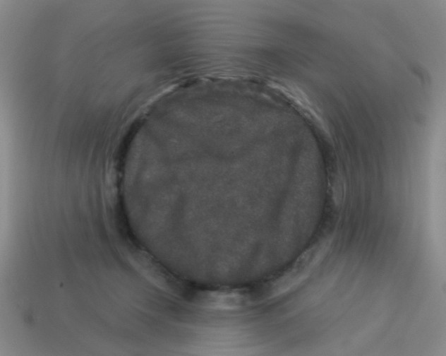 X0000113880366200910221401