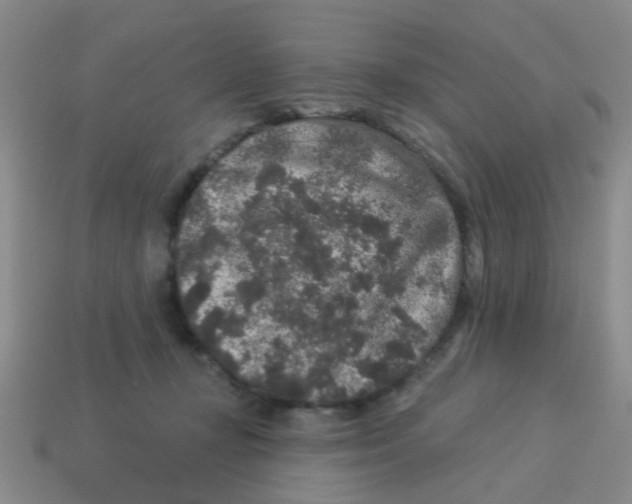 X0000113880367200910221401