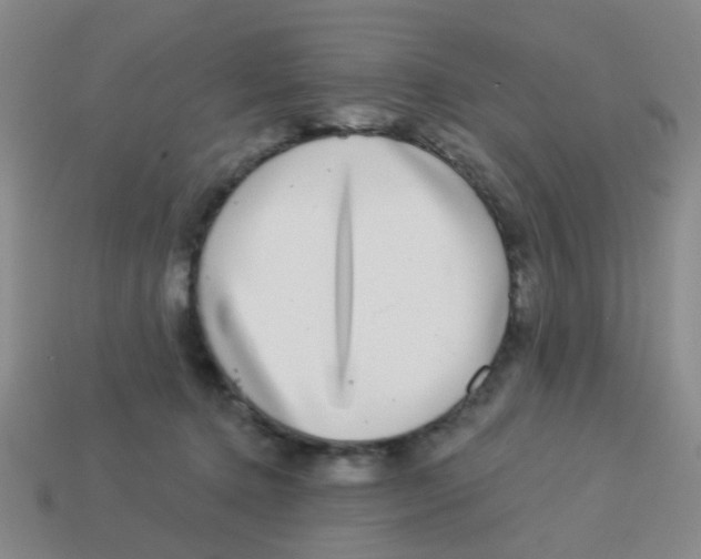 X0000113880368200910221401