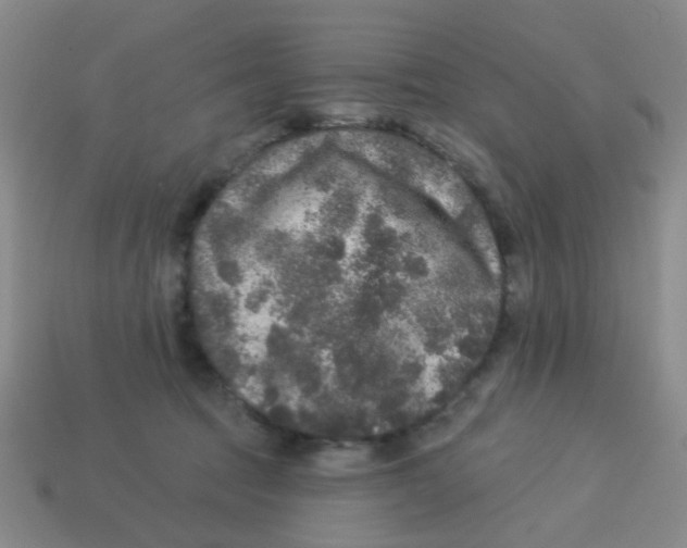X0000113880369200910221401