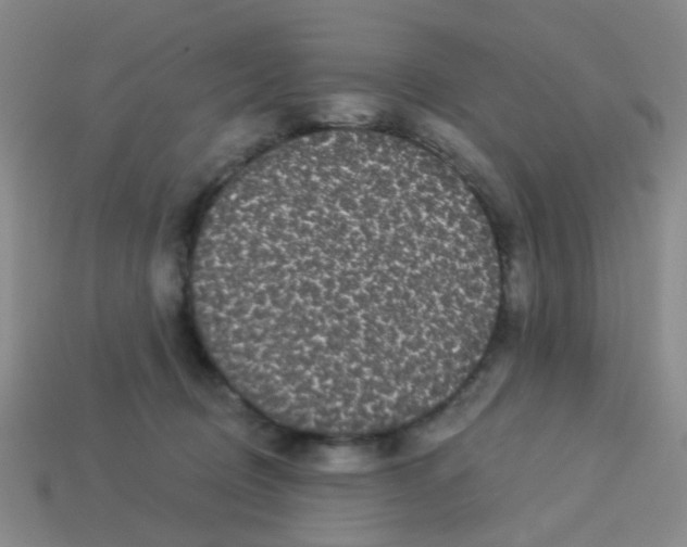 X0000113880370200910221401