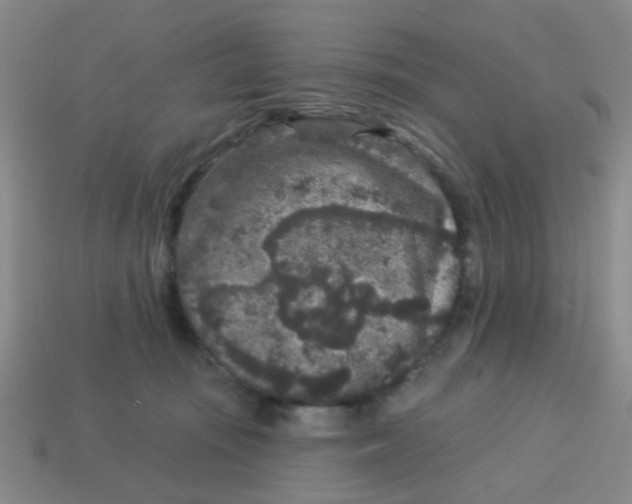 X0000113880371200910221401