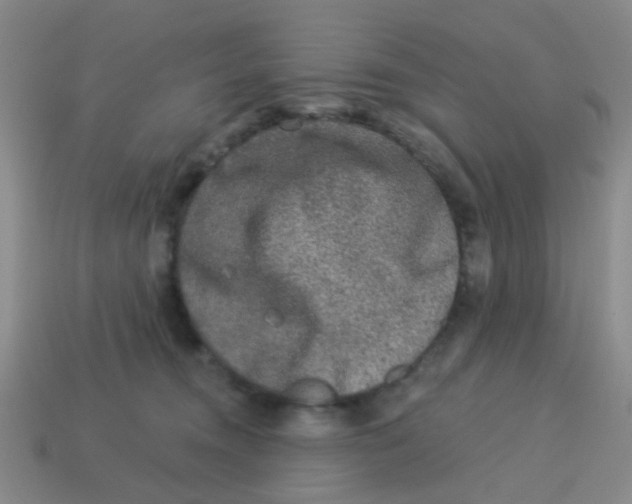 X0000113880372200910221401