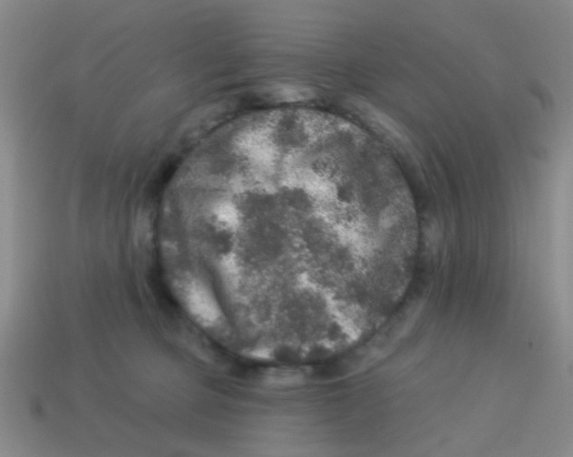 X0000113880373200910221401