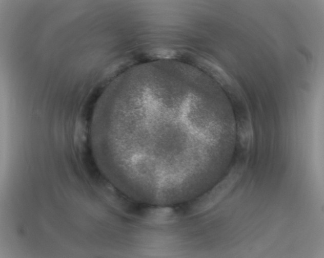 X0000113880374200910221401