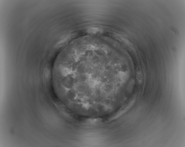 X0000113880375200910221401