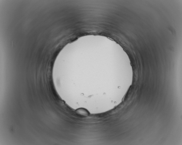 X0000113880376200910221401