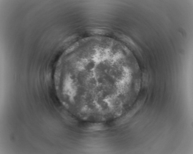 X0000113880377200910221401