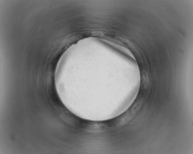 X0000113880379200910221401