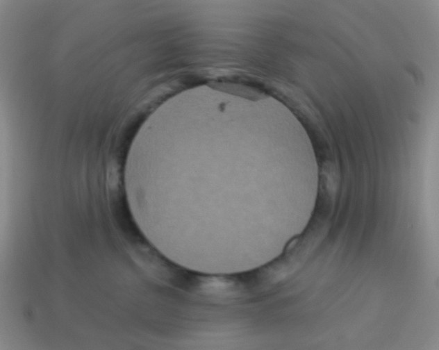 X0000113880380200910221401