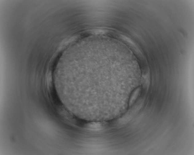 X0000113880381200910221401