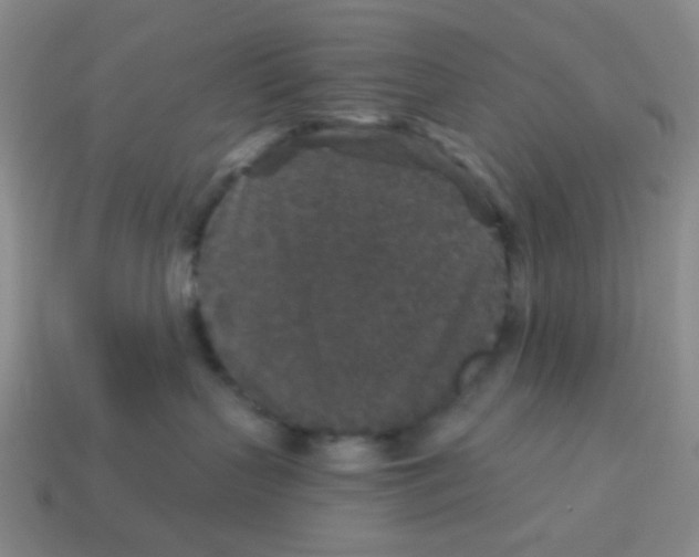 X0000113880383200910221401