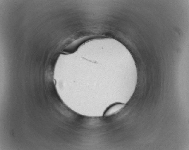 X0000113880384200910221401