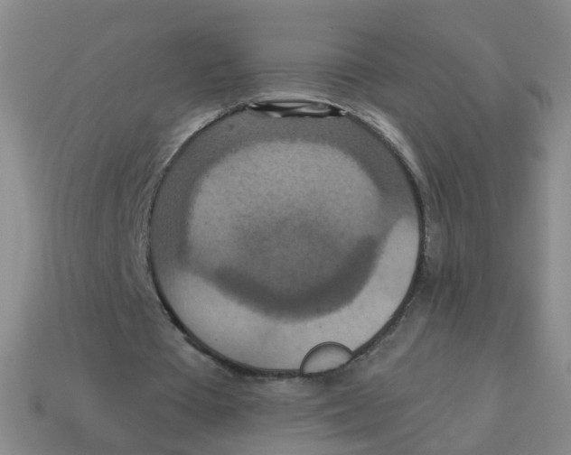 X0000113880385200910221400
