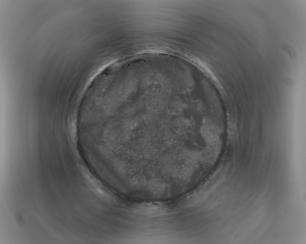 X0000113880386200910221400