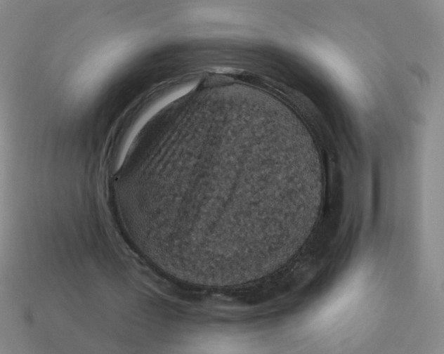 X0000113880387200910221400