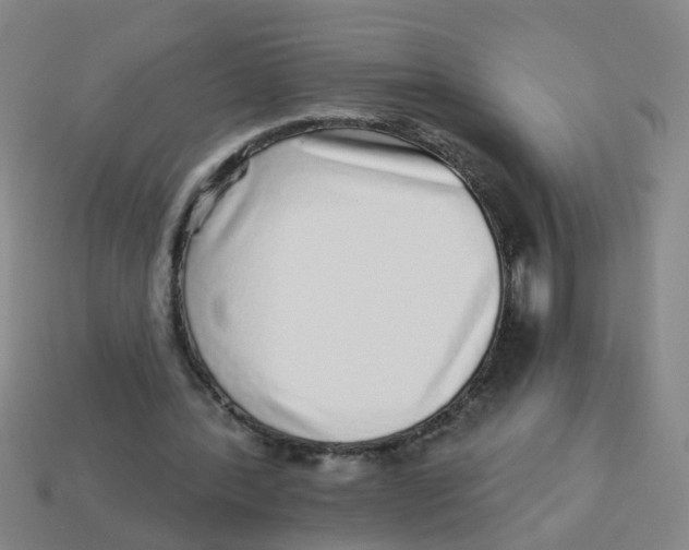 X0000113880388200910221400