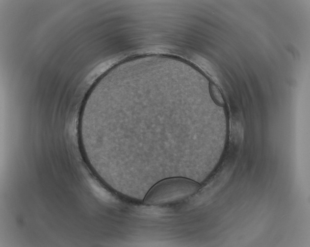X0000113880389200910221400