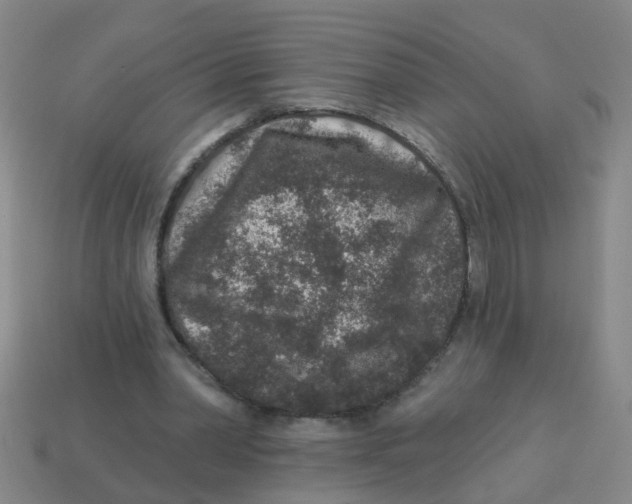 X0000113880390200910221400