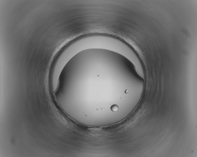X0000113880391200910221400