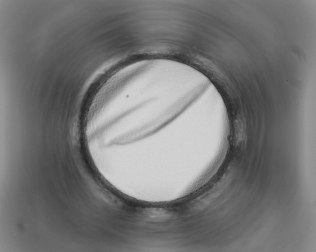 X0000113880392200910221400