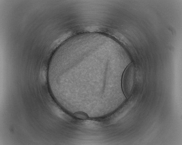 X0000113880393200910221400