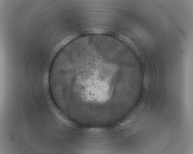 X0000113880394200910221400