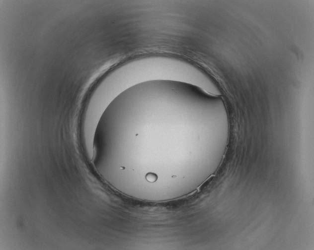 X0000113880395200910221400