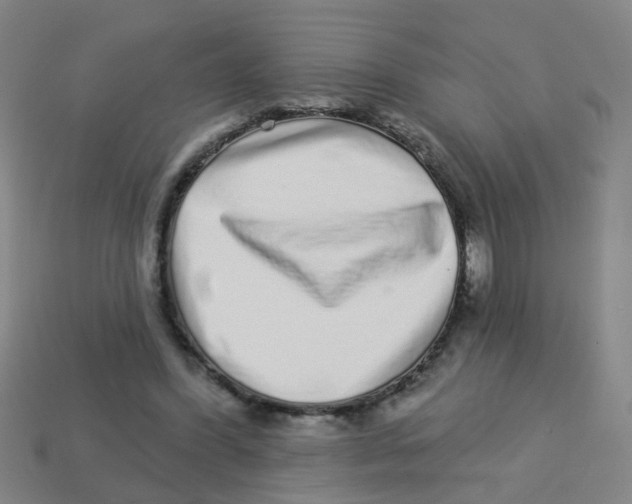 X0000113880396200910221400
