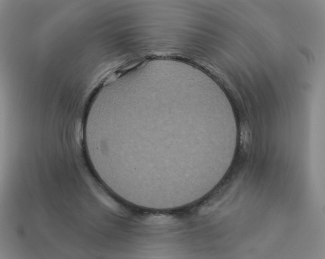 X0000113880397200910221400