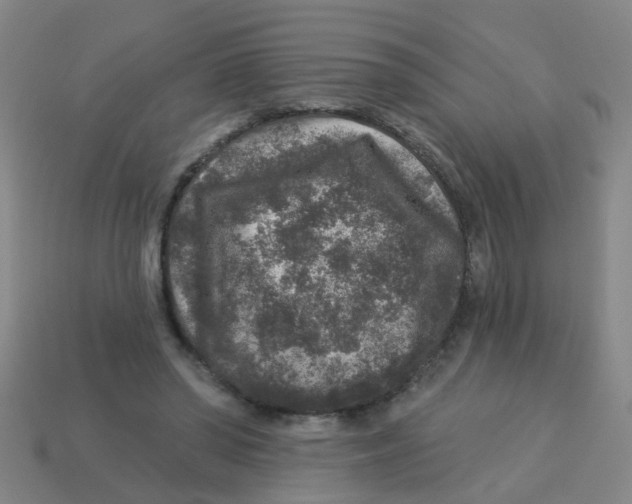X0000113880398200910221400
