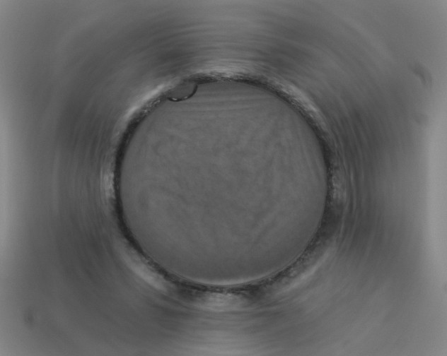 X0000113880399200910221400
