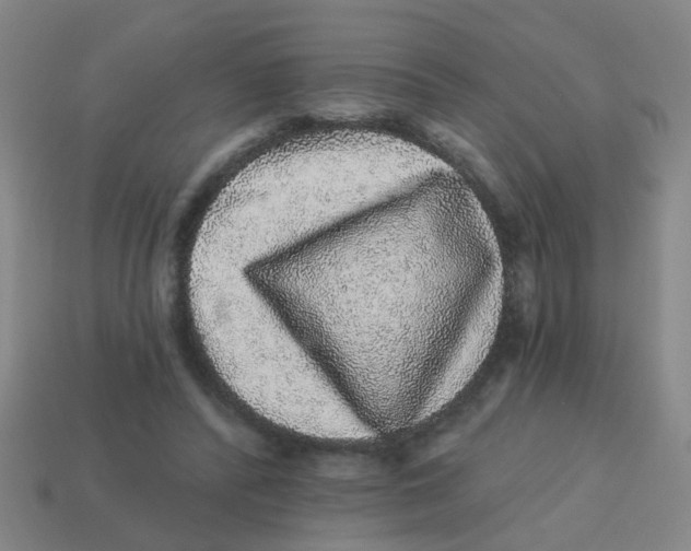 X0000113880400200910221400