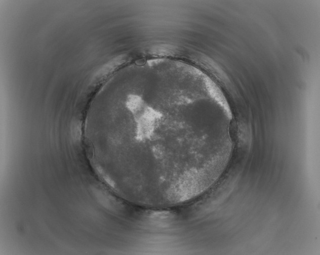 X0000113880401200910221400