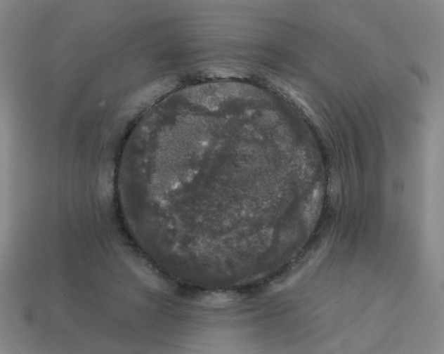 X0000113880402200910221400