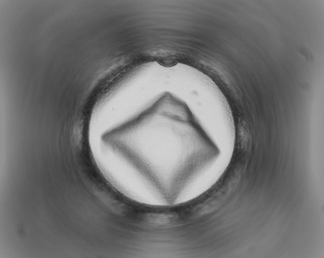 X0000113880404200910221400