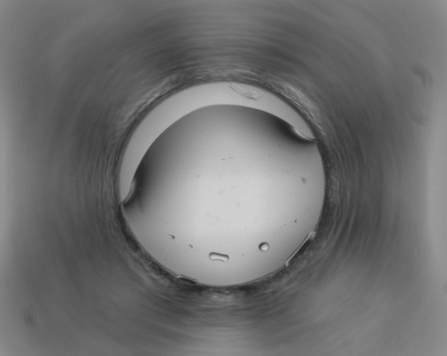 X0000113880405200910221400