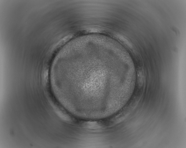 X0000113880406200910221400
