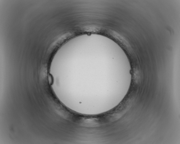 X0000113880407200910221400