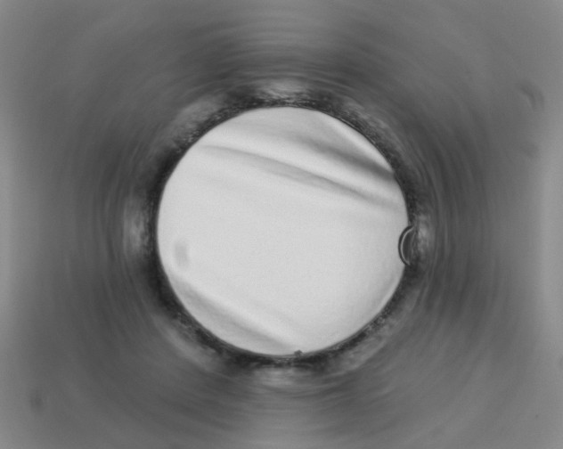 X0000113880408200910221400