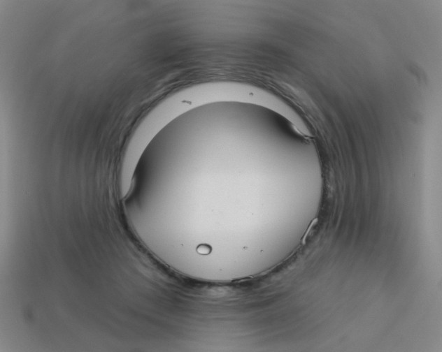 X0000113880409200910221400