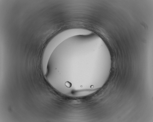 X0000113880411200910221400