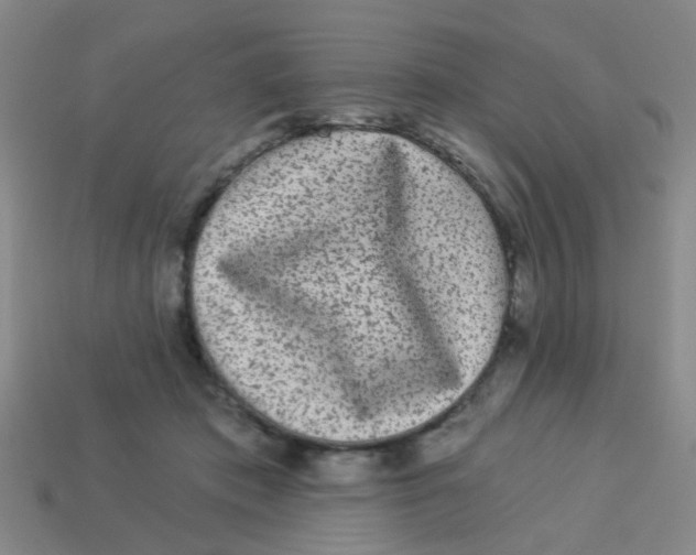 X0000113880413200910221400