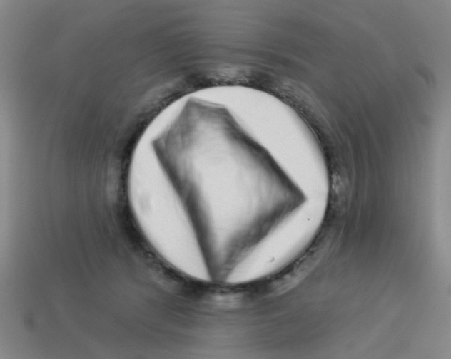 X0000113880416200910221400