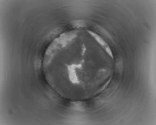 X0000113880417200910221400