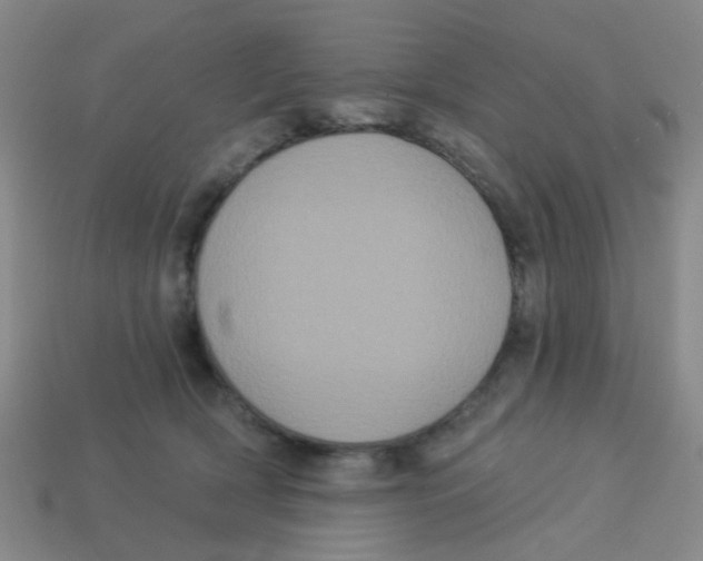 X0000113880418200910221400