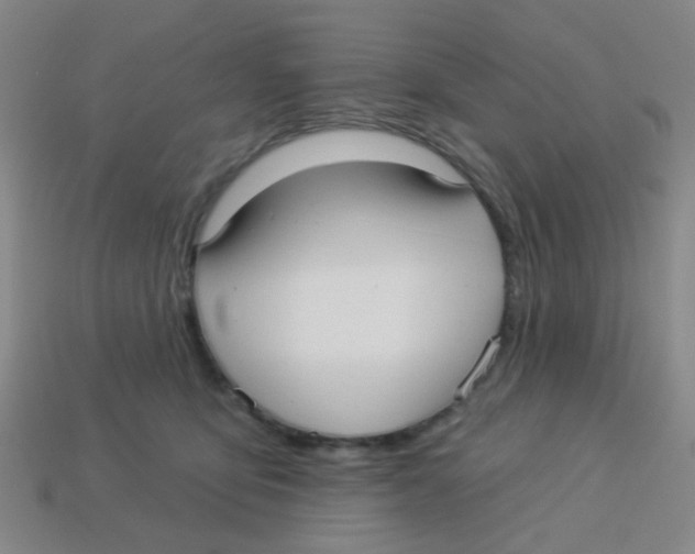 X0000113880419200910221400