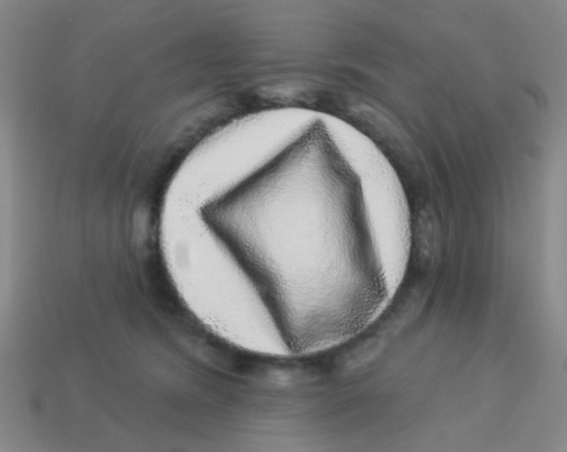 X0000113880420200910221400